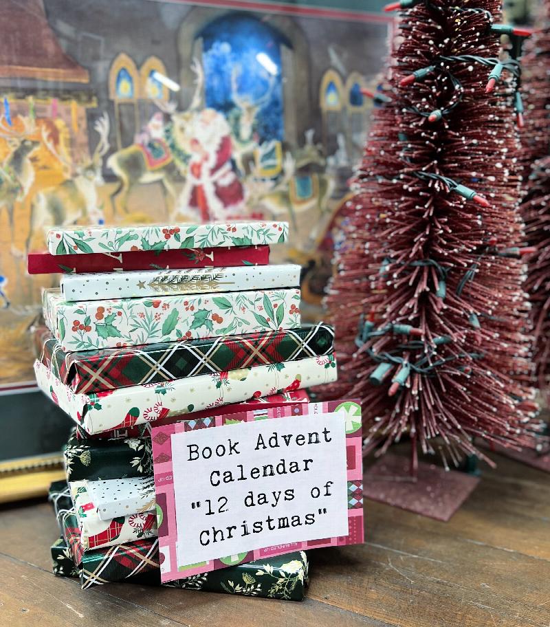 Image for Book Advent Calendar<br/>12 Days of Christmas
