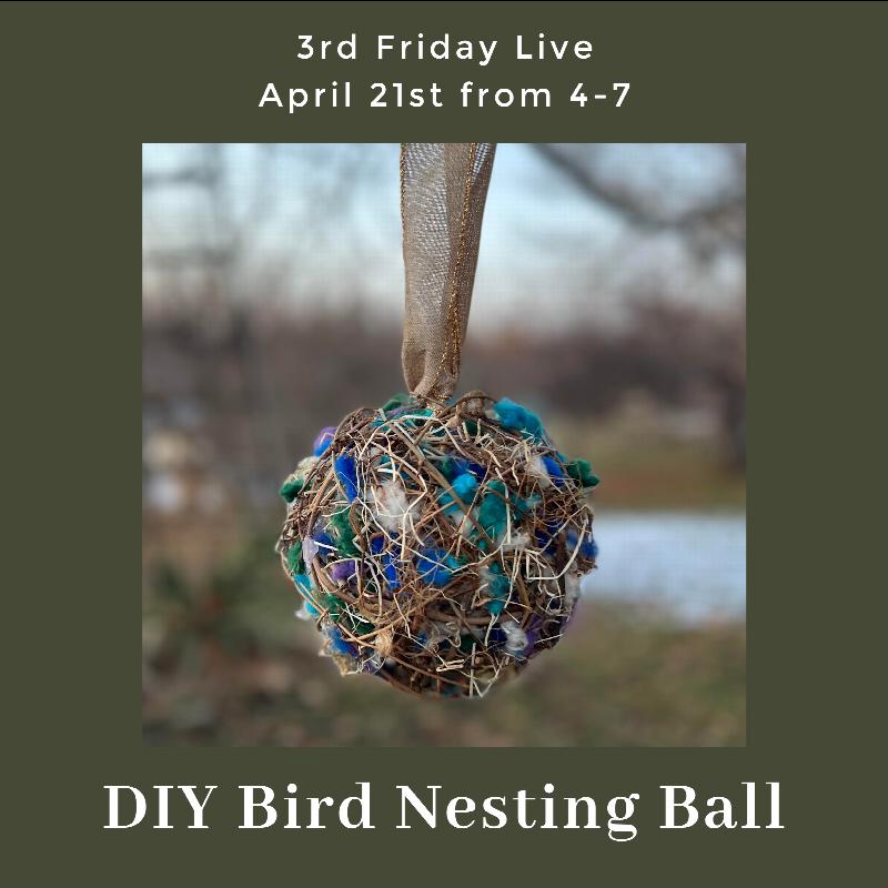 Image for DIY Bird Nesting Ball